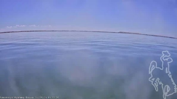 BoysenJul062025_15hh08mm01ss