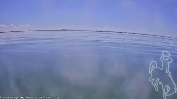 BoysenJul062025_16hh08mm01ss