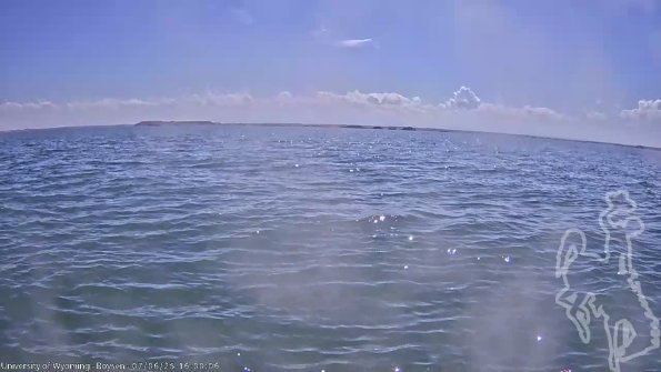 BoysenJul062025_18hh08mm01ss