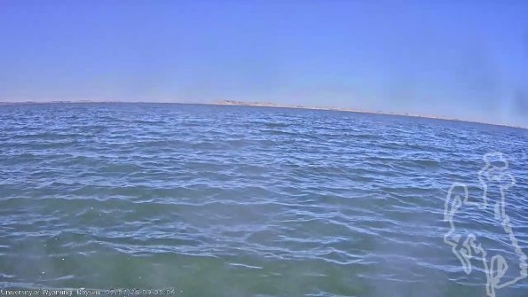 BoysenJul072025_11hh08mm02ss