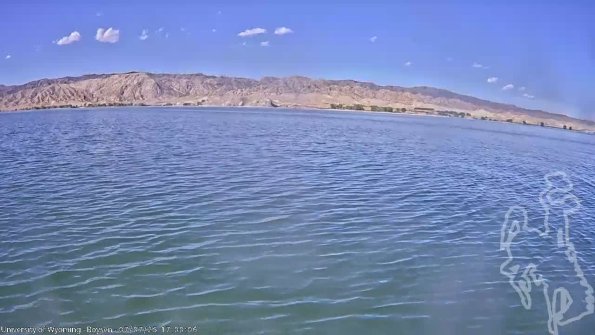 BoysenJul072025_19hh08mm01ss