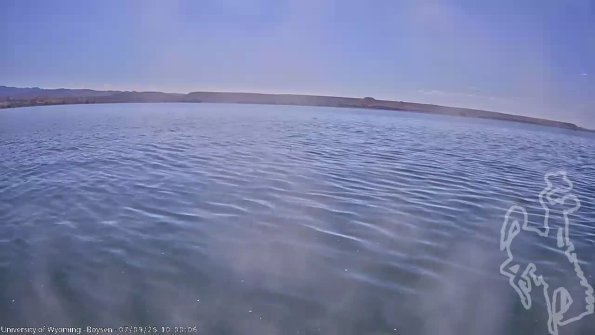 BoysenJul092025_12hh08mm01ss