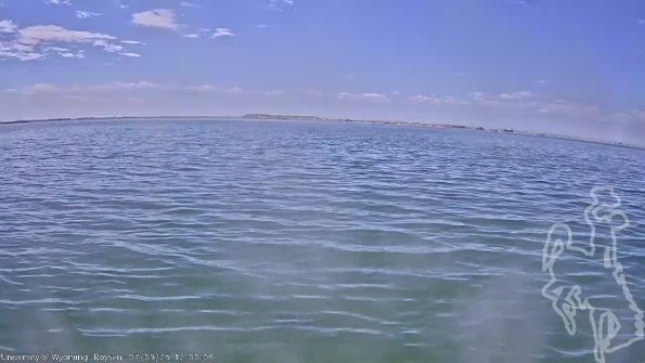 BoysenJul092025_14hh08mm01ss