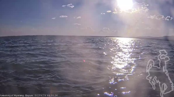 BoysenJul092025_21hh08mm01ss