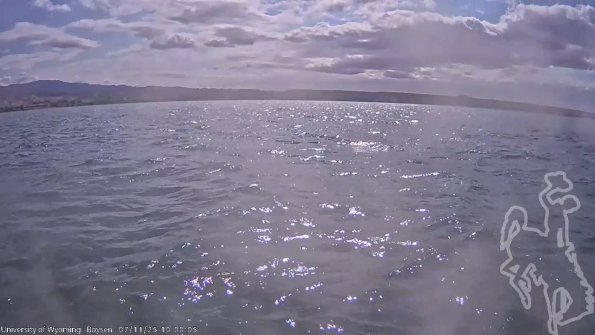 BoysenJul112025_12hh08mm02ss