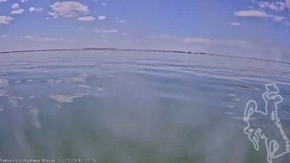 BoysenJul202025_14hh08mm02ss