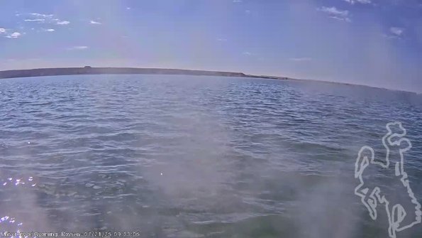 BoysenJul212025_11hh08mm01ss