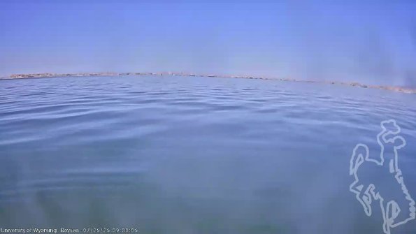 BoysenJul252025_11hh08mm00ss