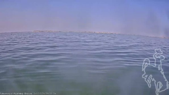 BoysenJul272025_11hh08mm01ss