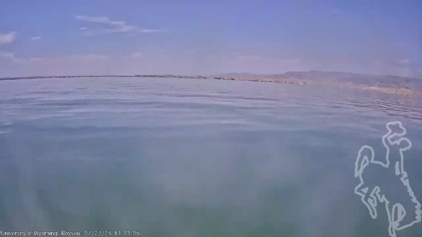 BoysenJul272025_15hh08mm00ss