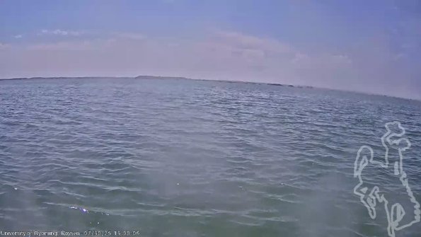 BoysenJul302025_15hh08mm01ss