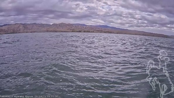 BoysenJun042025_11hh08mm01ss