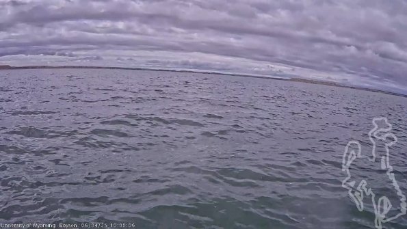 BoysenJun042025_12hh08mm01ss