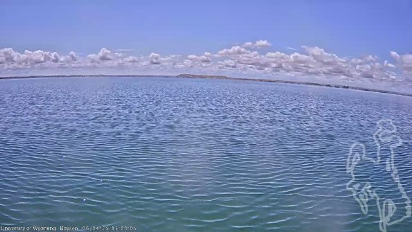 BoysenJun042025_15hh08mm01ss