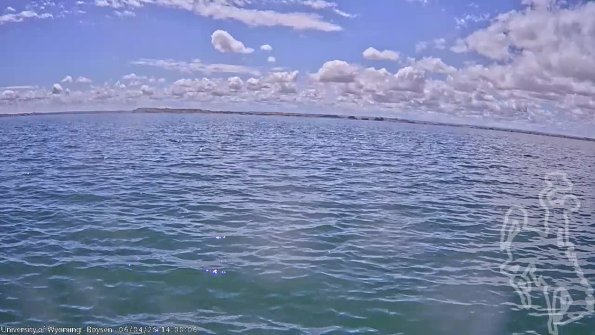 BoysenJun042025_16hh08mm01ss