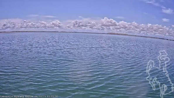 BoysenJun052025_15hh08mm01ss