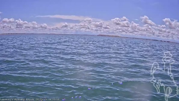 BoysenJun052025_16hh08mm01ss