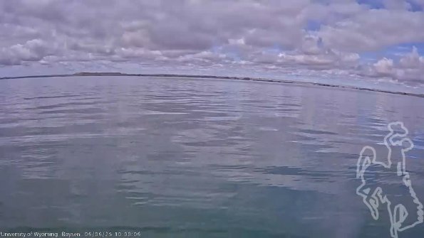 BoysenJun062025_12hh08mm01ss