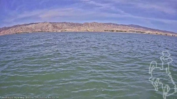 BoysenJun072025_17hh08mm01ss