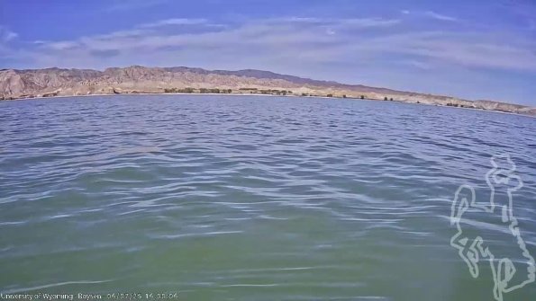 BoysenJun072025_18hh08mm01ss