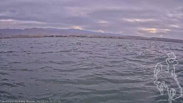 BoysenJun082025_11hh08mm01ss