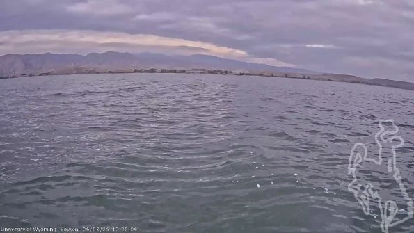 BoysenJun082025_12hh08mm01ss