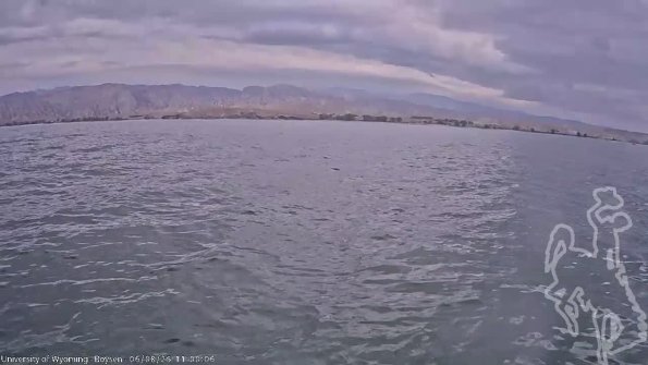 BoysenJun082025_13hh08mm01ss