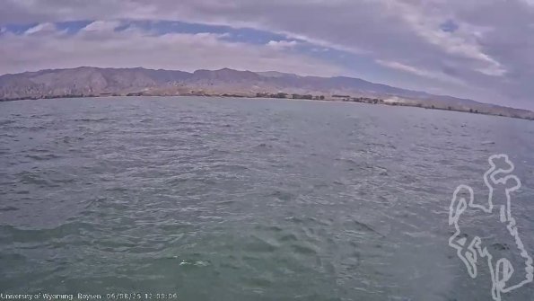 BoysenJun082025_14hh08mm01ss