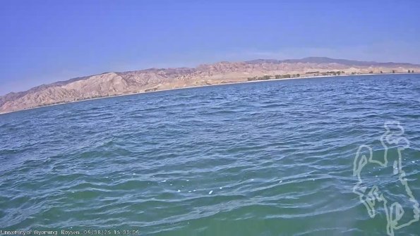 BoysenJun082025_17hh08mm01ss