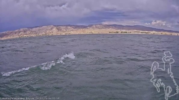 BoysenJun102025_17hh08mm01ss