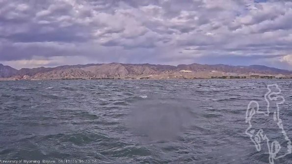 BoysenJun102025_18hh08mm01ss