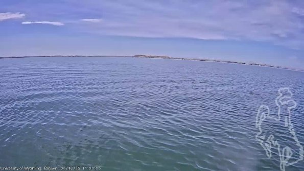 BoysenJun122025_13hh08mm01ss