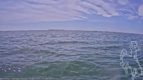 BoysenJun122025_15hh08mm01ss