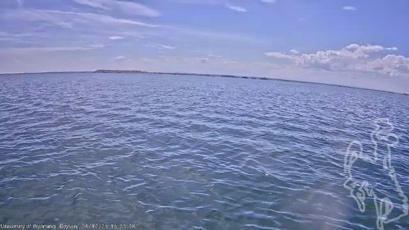 BoysenJun122025_17hh08mm01ss