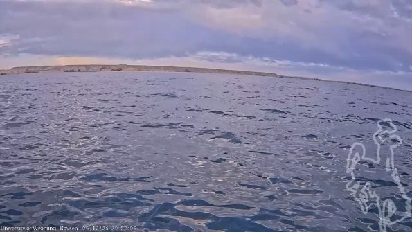 BoysenJun122025_22hh08mm01ss