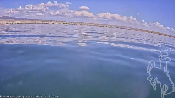 BoysenJun152025_18hh08mm01ss