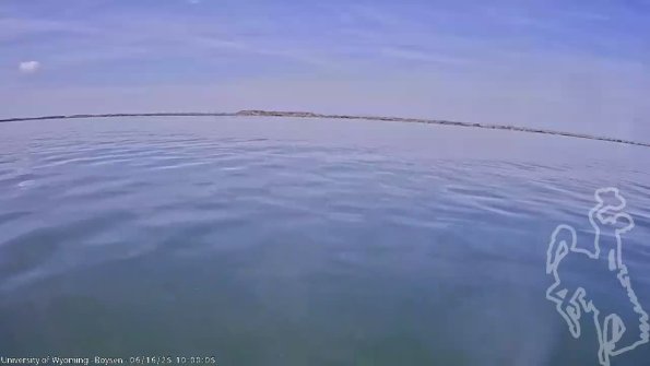 BoysenJun162025_12hh08mm01ss