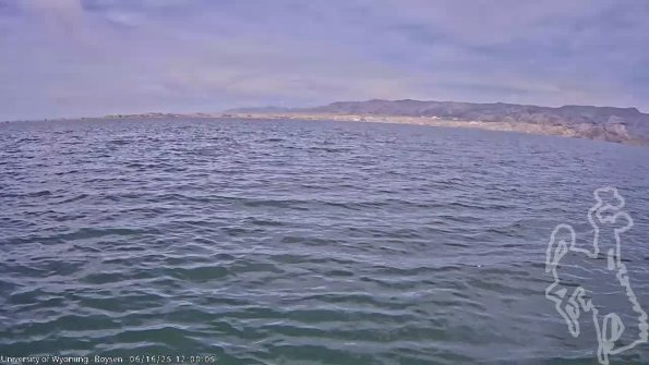 BoysenJun162025_14hh08mm01ss