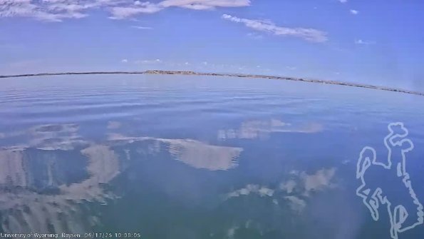 BoysenJun172025_12hh08mm01ss