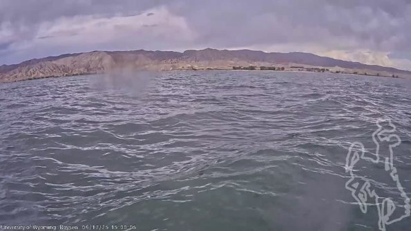 BoysenJun172025_17hh08mm01ss