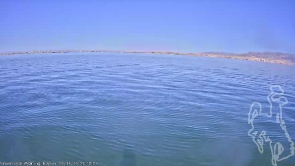 BoysenJun182025_11hh08mm01ss