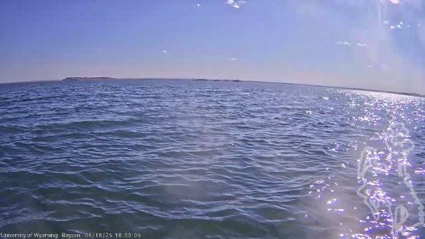 BoysenJun182025_20hh08mm01ss