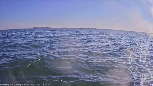 BoysenJun182025_21hh08mm02ss