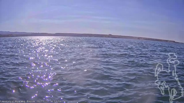 BoysenJun202025_11hh08mm01ss