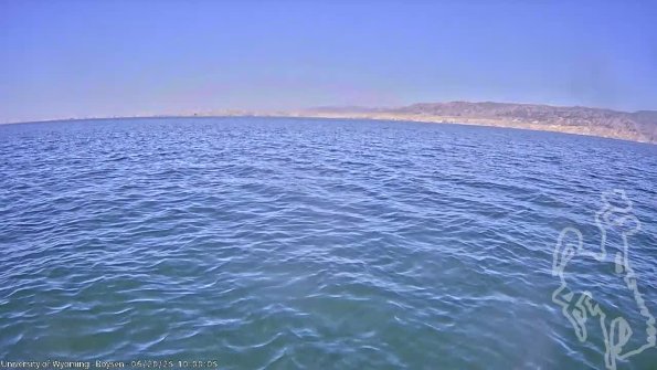 BoysenJun202025_12hh08mm01ss