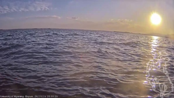 BoysenJun202025_22hh08mm01ss