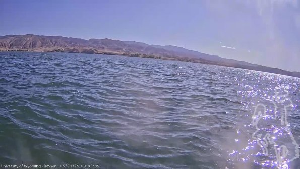 BoysenJun212025_11hh08mm01ss