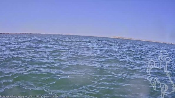 BoysenJun212025_12hh08mm01ss