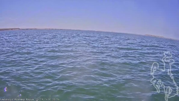 BoysenJun212025_14hh08mm01ss