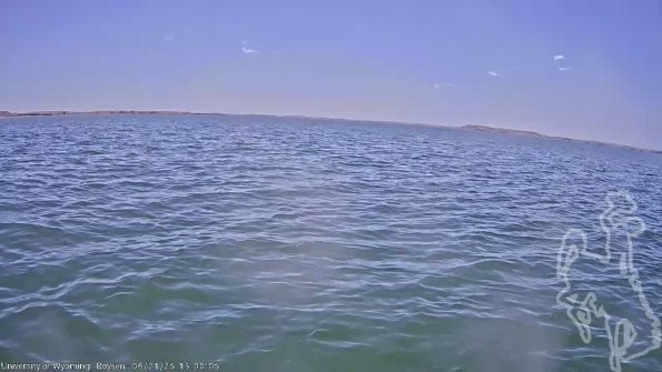 BoysenJun212025_15hh08mm01ss